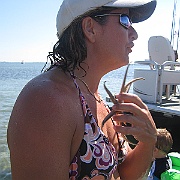 Picture 059